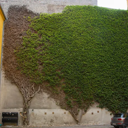 Churchill By Daniel&jacob's *